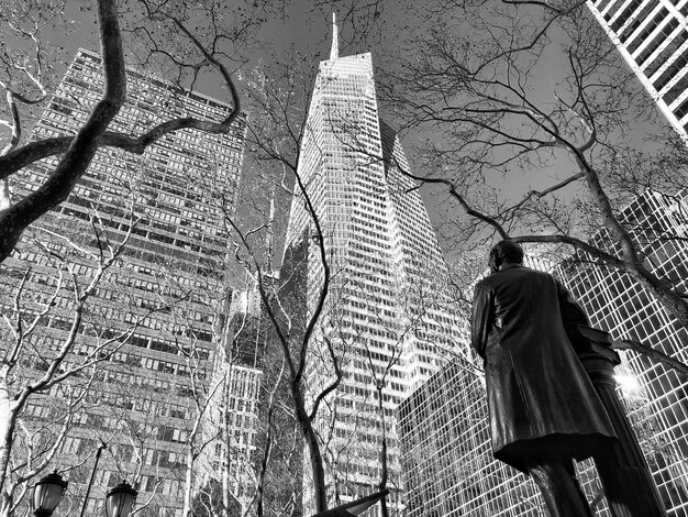 Photo vue à bas angle de l'arbre nu contre le bâtiment