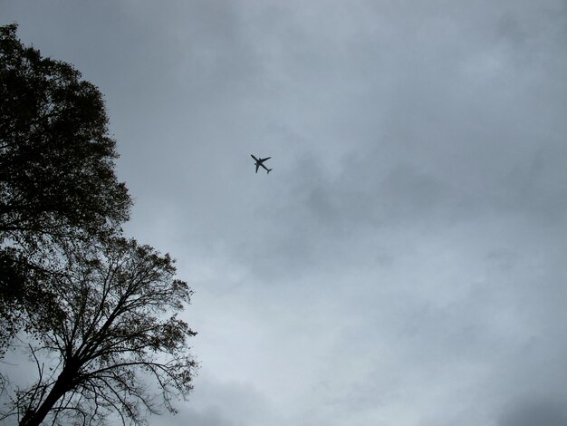 Vue à bas angle d'un avion volant dans le ciel