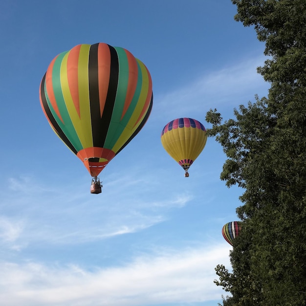 Vue à bas angle des ballons à air chaud