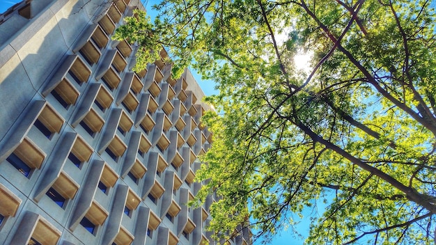 Photo vue à bas angle d'un bâtiment moderne et d'arbres contre le ciel