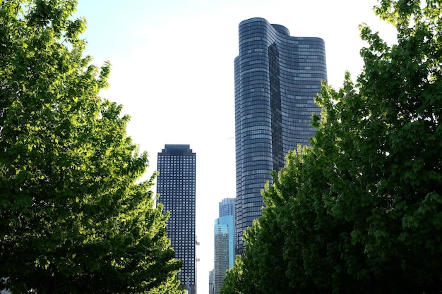 Photo vue à bas angle des bâtiments modernes contre un ciel dégagé