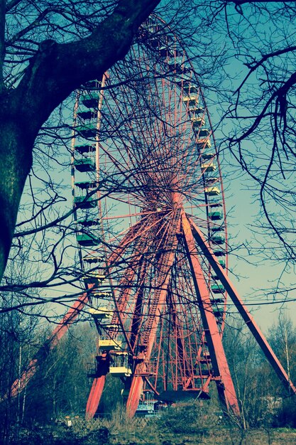 Photo vue à bas angle des branches contre la roue de la ferris