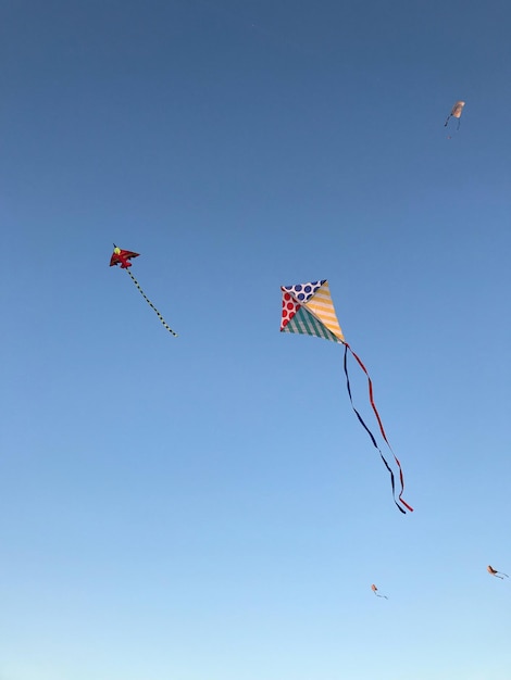 Vue à bas angle d'un cerf-volant volant contre un ciel bleu clair