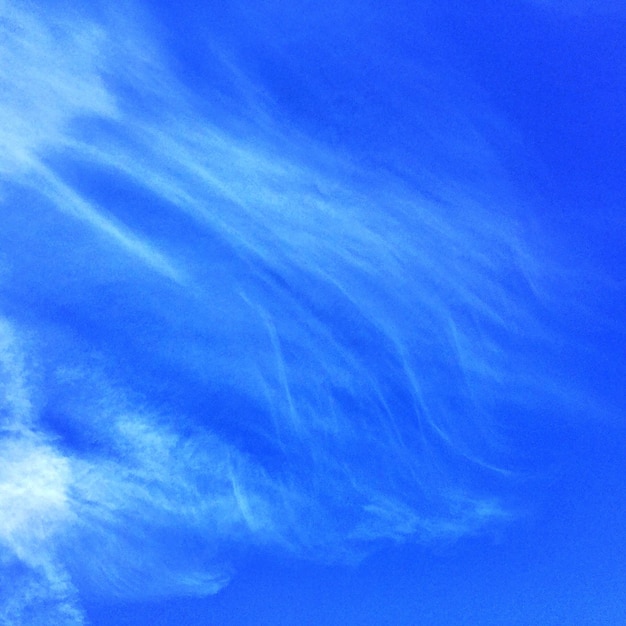 Vue en bas angle du ciel bleu