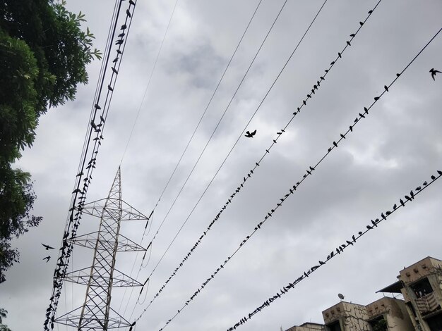 Photo vue à bas angle du pylône électrique contre le ciel