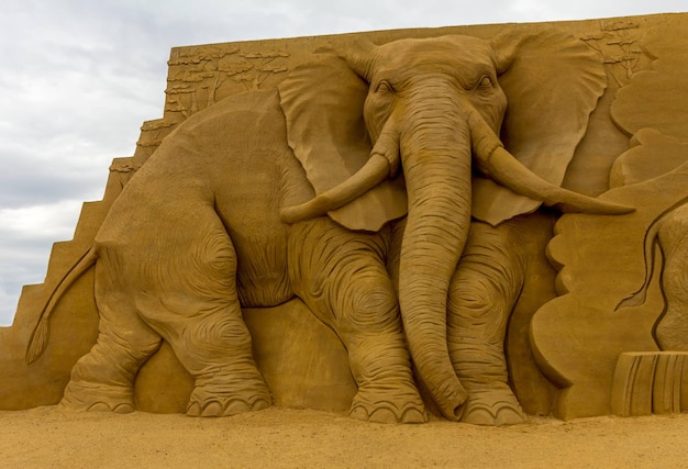 Photo vue à bas angle de l'éléphant sur le sable contre le ciel