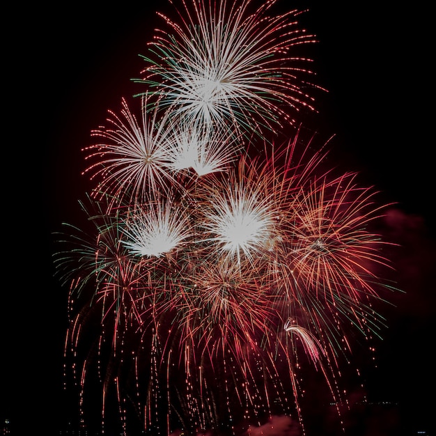 Vue à bas angle des feux d'artifice contre le ciel la nuit