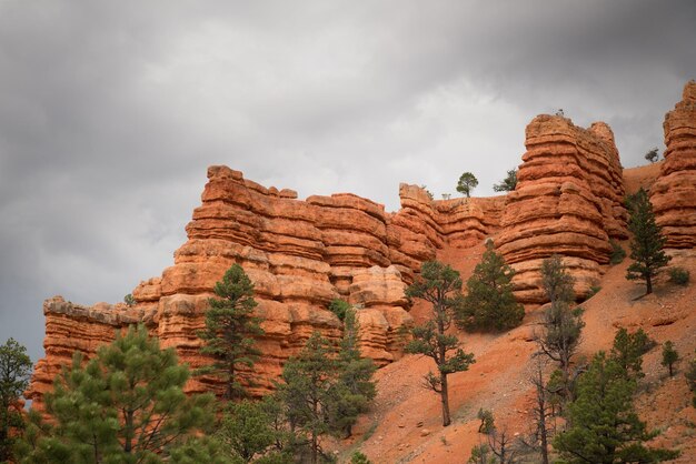 Vue à bas angle des formations rocheuses sur un ciel nuageux dans la forêt nationale de Dixie
