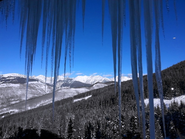 Photo vue à bas angle des glaçons sur une montagne couverte de neige