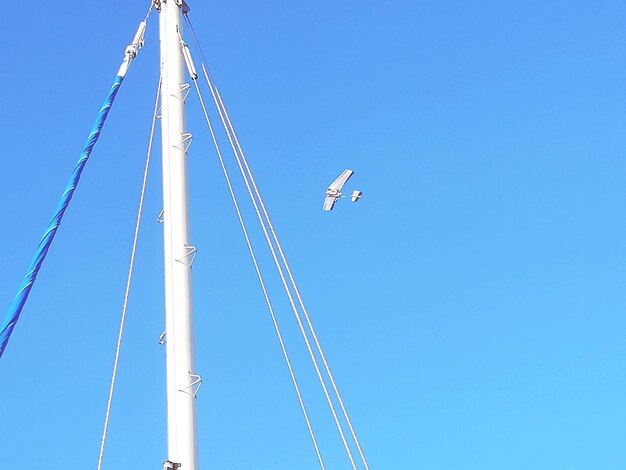 Photo vue à bas angle de la grue sur un ciel bleu clair