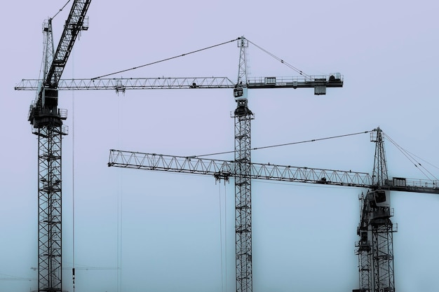 Vue en bas angle de la grue contre le ciel