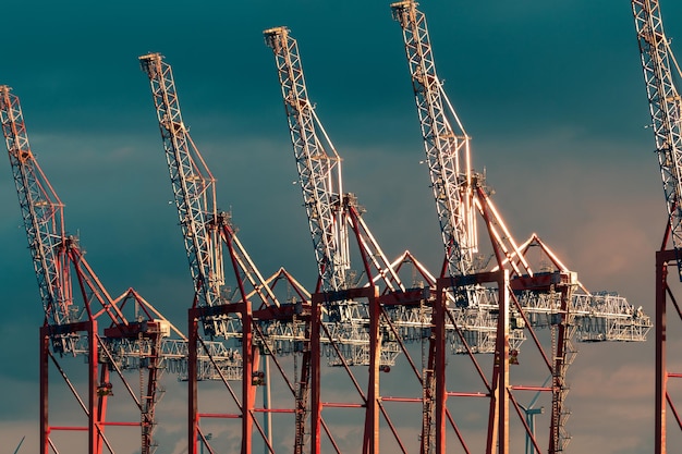 Vue en bas angle des grues contre le ciel