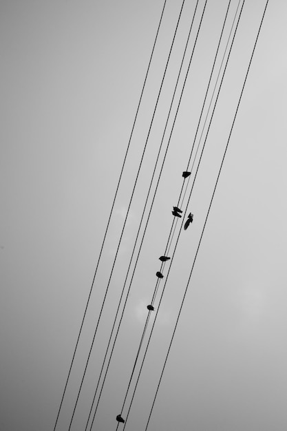 Photo vue en bas angle des lignes électriques contre le ciel