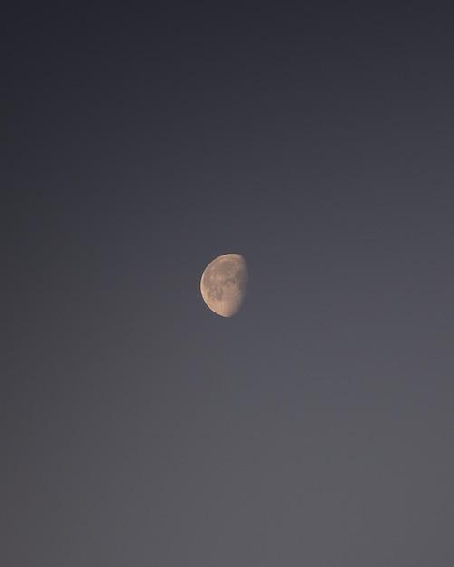 Vue à bas angle de la lune contre le ciel la nuit