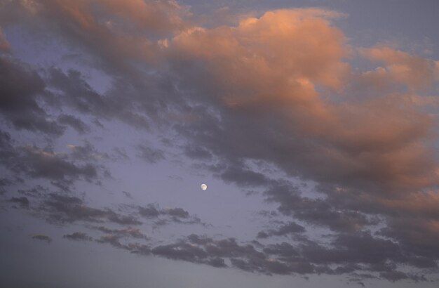 Photo vue à bas angle de la lune dans le ciel