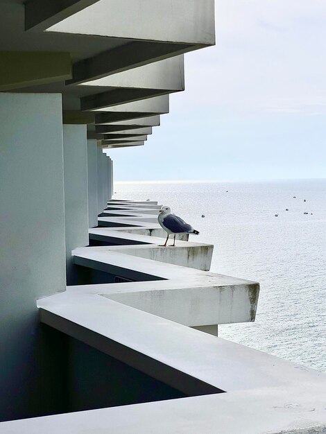 Photo vue en bas angle de la mer contre le ciel