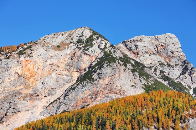 Vue à bas angle des montagnes rocheuses sur un ciel bleu clair