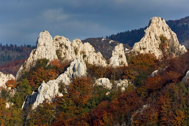 Vue à bas angle des montagnes rocheuses contre le ciel