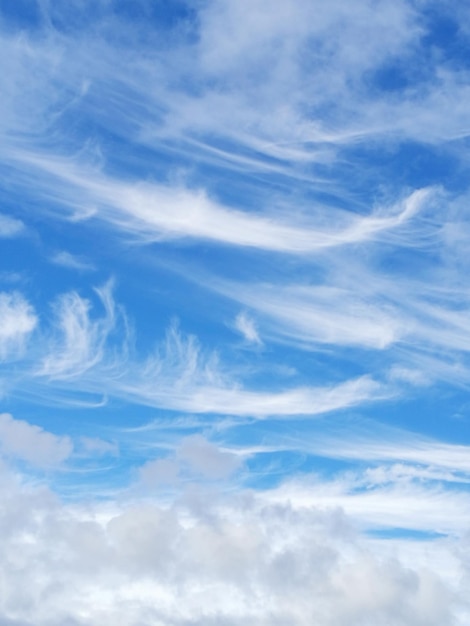 Vue à bas angle des nuages cirrus