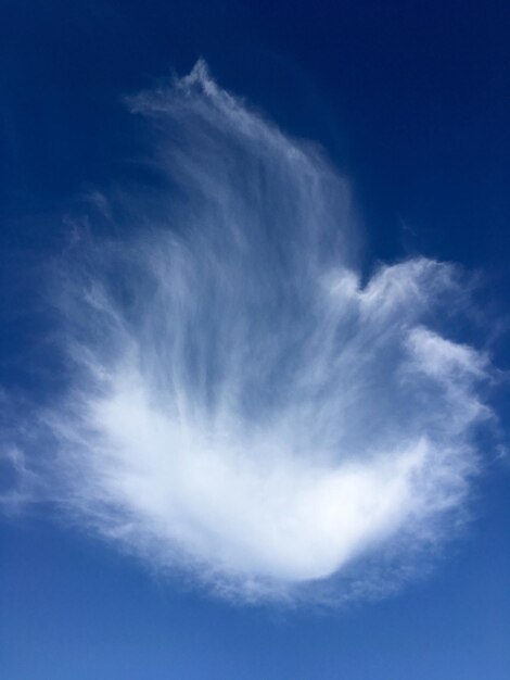 Vue à bas angle des nuages dans le ciel bleu