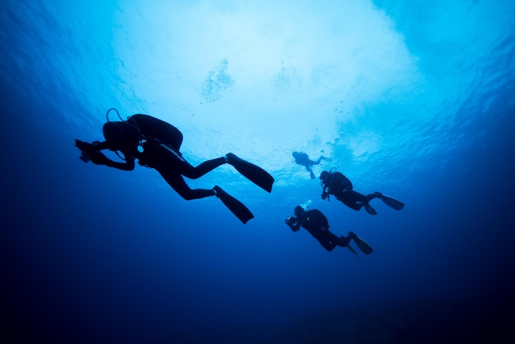 Photo vue à bas angle de personnes faisant de la plongée sous-marine en mer