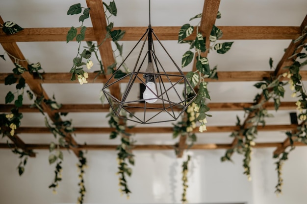 Photo vue à bas angle de la plante en pot et de la lampe accrochée au mur