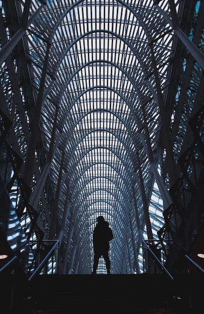 Vue à bas angle de la silhouette de l'homme dans le plafond