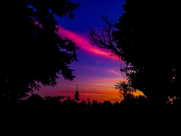 Photo vue à bas angle des silhouettes d'arbres contre le ciel au coucher du soleil