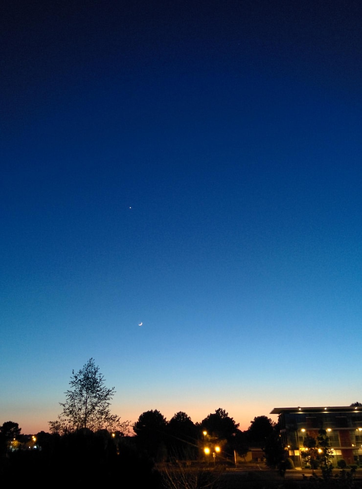 Photo vue à bas angle des silhouettes d'arbres contre le ciel la nuit