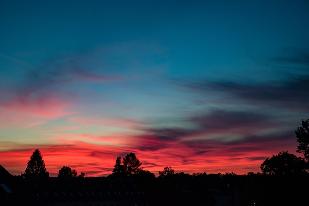 Vue à bas angle des silhouettes d'arbres contre un ciel spectaculaire