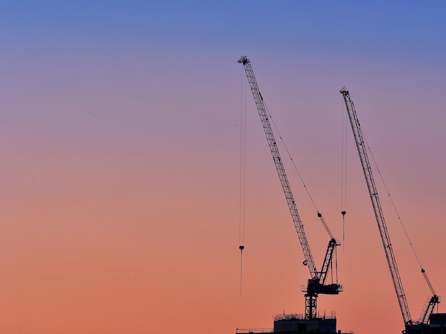 Photo vue à bas angle des silhouettes de grues contre le ciel au coucher du soleil