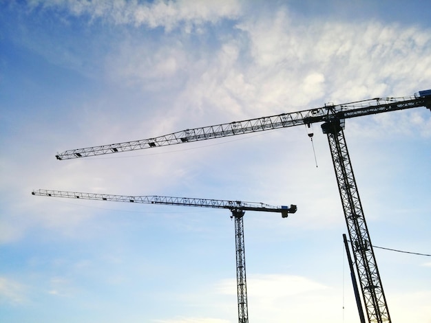 Vue à bas angle des silhouettes de grues contre le ciel