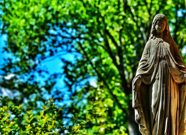 Photo vue à bas angle de la statue contre les arbres