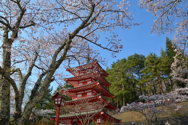 Vue en bas angle d'un temple