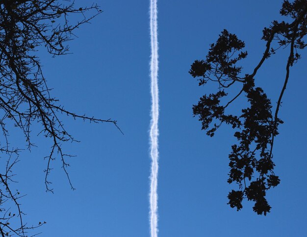 Photo vue à bas angle de la traînée au ciel bleu