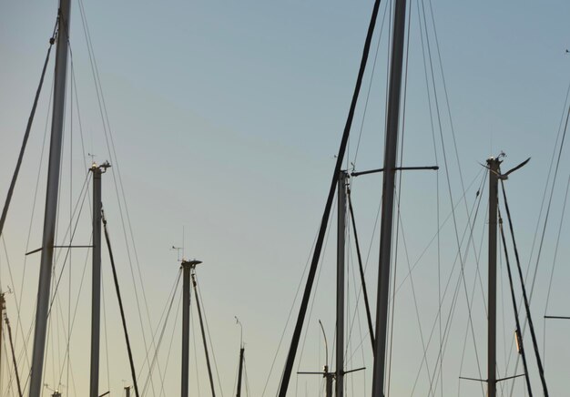 Vue à bas angle des voiliers amarrés en mer contre un ciel dégagé