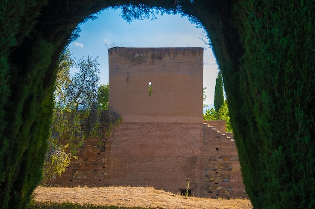 Vue sur le bâtiment entre l'arche verte des plantes de l'Alhambra