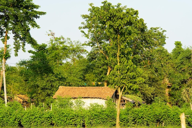 Vue de la belle maison de ferme dans le village