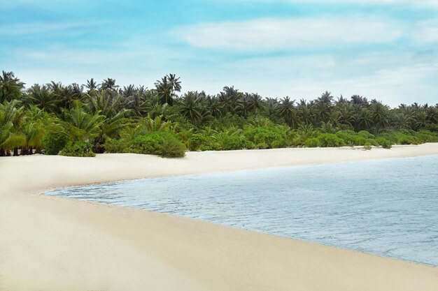 Vue sur la belle plage tropicale le jour d'été