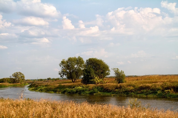 Vue sur la belle rivière et la forêt