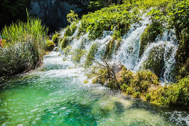 Photo vue des belles chutes d'eau pittoresques sur les lacs de plitvice roches et arbres verts autour des lacs