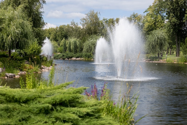 Vue sur de belles fontaines sur le lac dans le jardin formel