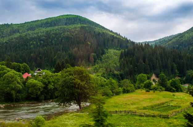 Vue sur les belles montagnes des Carpates en été