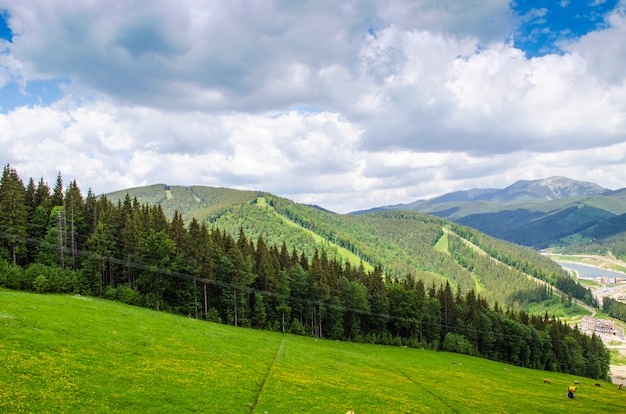 Vue sur les belles montagnes des Carpates en été