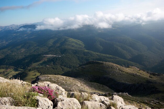 Vue brumeuse sur la montagne de haut