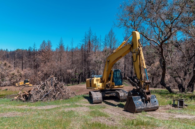 Vue d'un bulldozer jaune et d'une excavatrice sur une parcelle de terrain Un équipement lourd nettoie la zone En arrière-plan forestier.