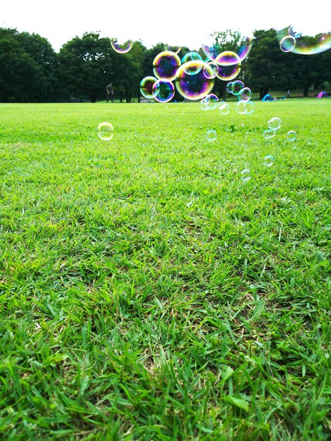 Photo vue des bulles dans le champ