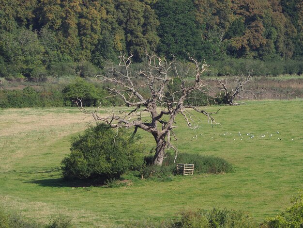 Vue sur campagne à Chepstow