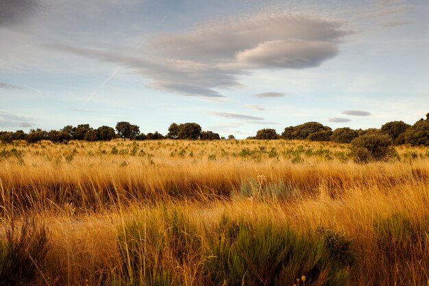 Vue sur la campagne espagnole