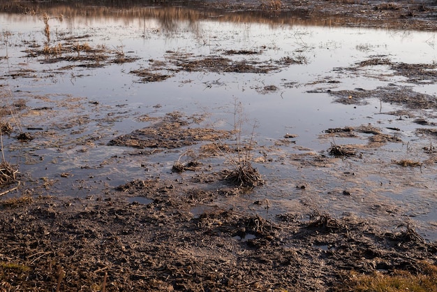 Vue sur la campagne fluviale polluée des marais